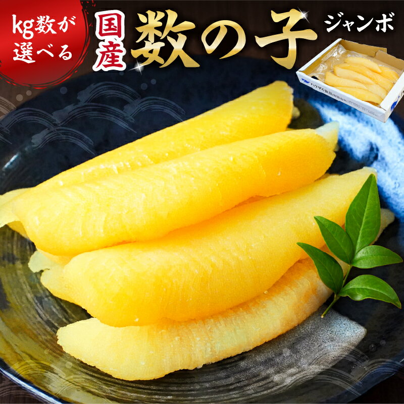 【ふるさと納税】国産 塩数の子ジャンボ 北海道産 1本羽 【kg数が選べる】千葉県 南房総市 ニシン 大きい 特大 卵 魚卵 食感 バリバリ 塩漬け 小分け レシピ同封 お正月 おせち 立派 揚げ物 簡単 お手軽 送料無料