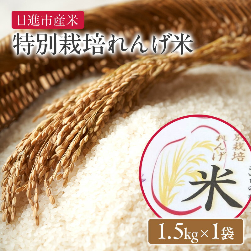 【ふるさと納税】お米 特別栽培れんげ米 日進市産米 1.5kg×1袋 米 コメ 精米 白米 あいちのかおり 特別栽培米 れんげ草 日進市 愛知県　お届け：2025年12月15日～2026年10月30日まで