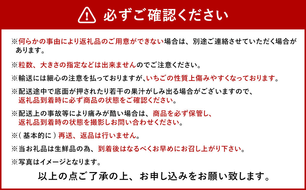 今季初採れあまおう 2パック【数量限定】