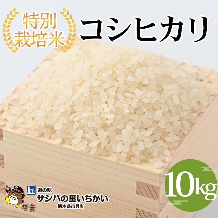 【ふるさと納税】特別栽培米〈コシヒカリ〉10kg ｜ 国産 栃木県産 コシヒカリ 米 お米 特別栽培米 精米 白米 栃木米 とちぎ米 産地直送 送料無料 ※離島への配送不可 ※2025年9月中旬頃より順次発送予定