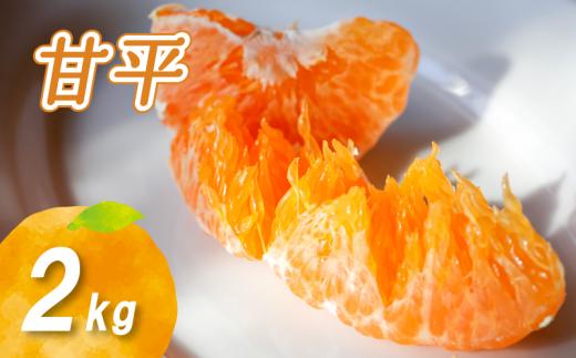 【2026年1月末より発送】 甘平 2kg | 数量選択可 みかん ミカン 蜜柑 柑橘 数量限定 愛媛県産 松山市 中島 愛媛 ふるさと納税