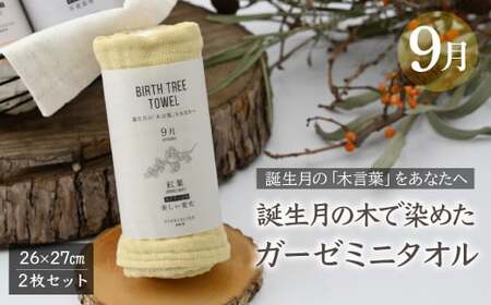 9月「紅葉(モミジ)」の木言葉 「美しい変化」 BIRTH TREE TOWEL |  ガーゼ ガーゼ ハンカチ タオル ハンカチ ふわふわ 草木染 染め RYOKUSUIEN 緑酔園 埼玉県 草加市 草加