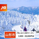 【ふるさと納税】【山形市】JTBふるさと旅行クーポン(Eメール発行) | 山形県 山形市 山形 蔵王 温泉 トラベル 宿泊 観光 旅行券 泊り 宿 スキー