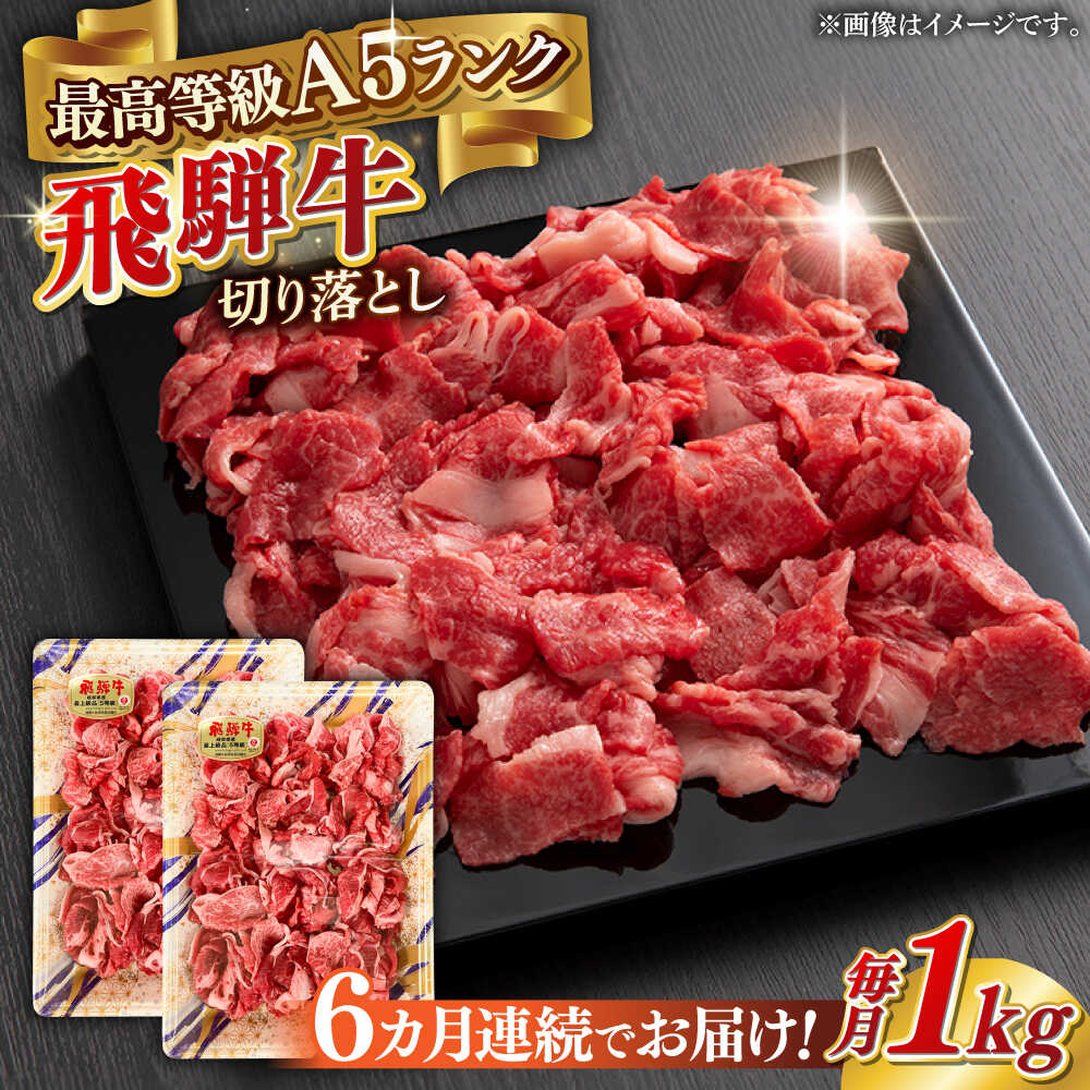 【ふるさと納税】【6回定期便】A5等級 飛騨牛 切り落とし 1kg(500g×2パック) ブランド牛 最高級 A5ランク 岐阜市 / 三心[ANGY017]