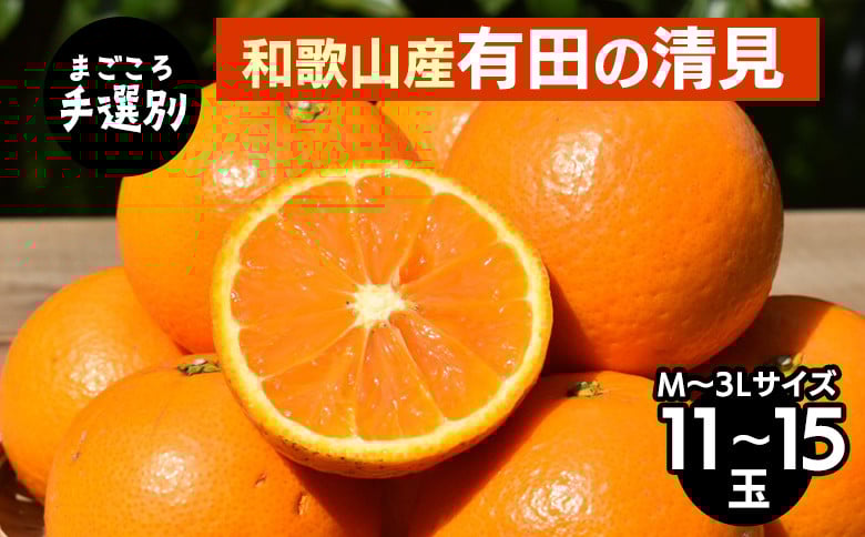 
            【まごころ手選別】和歌山産　有田の清見　11玉～15玉(M～3Lサイズ) ※2026年3月上旬～4月下旬頃に順次発送予定
          