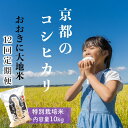 【ふるさと納税】《定期便12か月》特別栽培米コシヒカリ「おおきに大地米」10kg 令和6年産 お米 米 コシヒカリ 送料無料 京都 京丹後 丹後