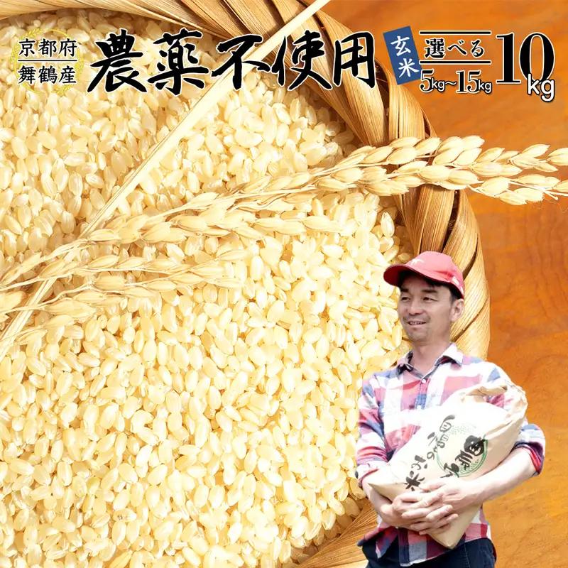 令和8年度産 新米 予約受付 棚田米 10kg 玄米 コシヒカリ 栽培期間中農薬不使用