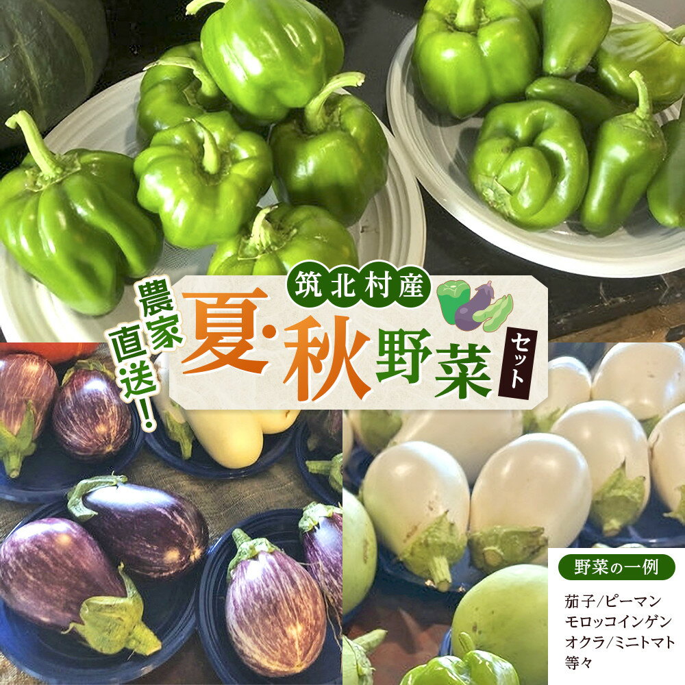 【ふるさと納税】先行予約【2026年9月上旬頃～順次発送予定】ちっくほっくふぁ～む　夏・秋野菜セット
