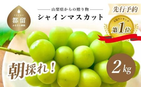 【2025年 先行予約】山梨県産　シャインマスカット 2kg (3房～4房) シャイン　シャインマスカット　葡萄　ぶどう　ブドウ　フルーツ　