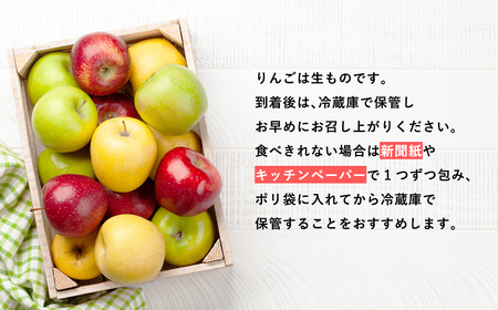 品種お任せ　【訳あり】家庭用　旬のりんご詰め合わせ10㎏