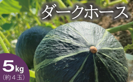 高評価★５！【2026年産先行受付】 かぼちゃ 北海道 5kg 甘い ホクホク 当麻町 阿部ファーム ダークホース カボチャ 南瓜 野菜 【AE-002】