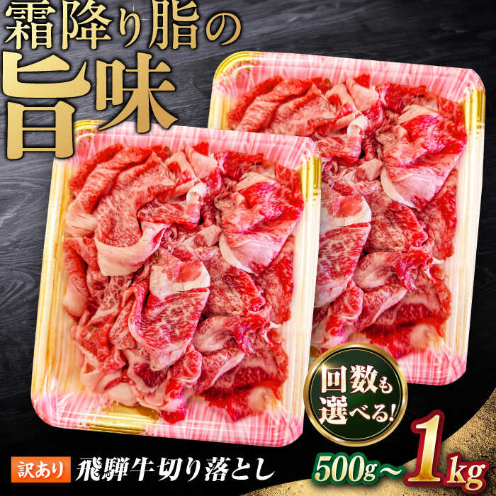 【ふるさと納税】【選べるパック・定期便回数】 飛騨牛 切り落とし （1パック250g） 等級 部位お任せ 牛肉 飛騨牛 切り落とし きりおとし 切りおとし 肉 牛肉 和牛 炒め物 牛丼 しゃぶしゃぶ すき焼き 鍋 カレー 牛 すきやき 岐阜市 / だるまミート [ANBE014、015、037-040]