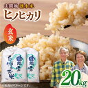 【ふるさと納税】山間地 湧水米 ヒノヒカリ 玄米 20kg コメ 米 こめ ひのひかり 【「のん気・元気」百姓家】[YAL003]