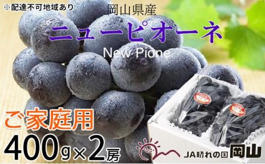 ぶどう 2026年 ご家庭用 ニュー ピオーネ 約400g×2房 ブドウ 葡萄  岡山県産 国産 フルーツ 果物