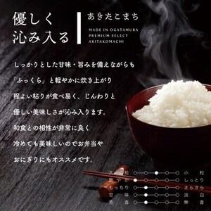 秋田県産 予約受付開始!あきたこまち【令和7年産】無洗米5kg(5kg×1)《10月中旬より発送》【配送不可地域：離島・沖縄県】【1637016】