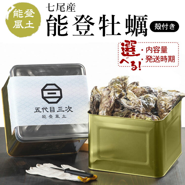 【ふるさと納税】【能登半島地震復興支援】＼選べる内容量・発送時期／能登風土 七尾産「能登かき」殻付き ◇ ※必ずよく加熱してお召し上がりください ※離島への発送不可