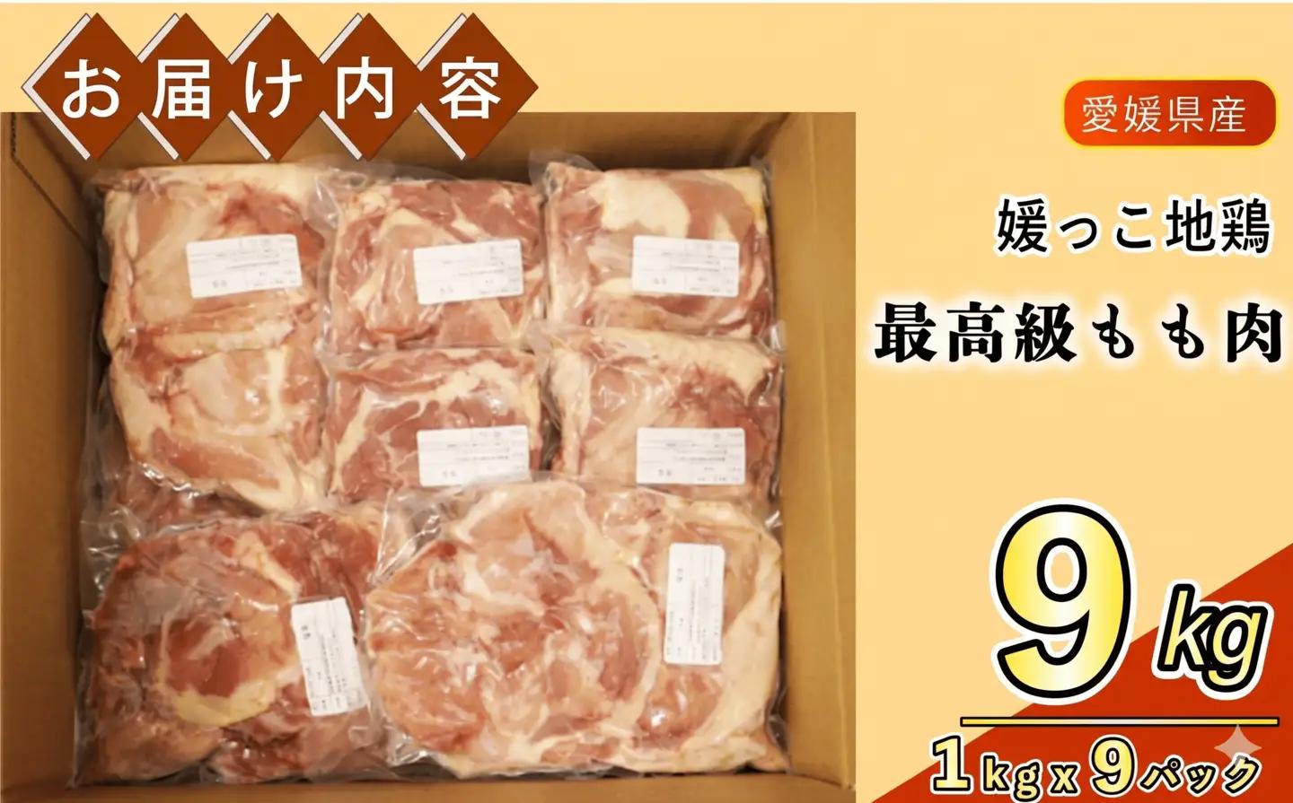 地鶏 愛媛 媛っこ地鶏 もも肉 約9kg 