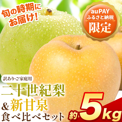 【auPAYふるさと納税限定】梨 なし 二十世紀梨 新甘泉 食べ比べセット 約5kg《2026年8月下旬-9月下旬頃出荷》二十世紀梨 梨 ご家庭用 旬 二十世紀 鳥取県 八頭町 なし 果物 フルーツ 特産品 送料無料 デザート【2026年先行予約】