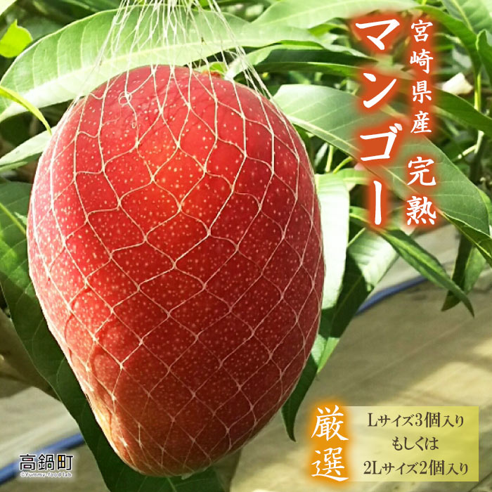 ＜宮崎県産完熟マンゴー（Lサイズ3個 or 2Lサイズ2個）＞ ※2023年9月上旬迄に順次出荷 果物 フルーツ 特産品 宮崎県 高鍋町【冷蔵】