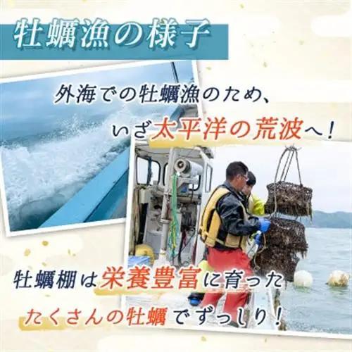 仙鳳趾名産 牡蠣 150～199g×28個+かきナイフ付K4-4_仙鳳趾 センポウシ せんぽうし 牡蠣 カキ 生食用 殻付き 牡蠣 絶品 産地直送 北海道 釧路町 釧路超 特産品 _【配送不可地域：離