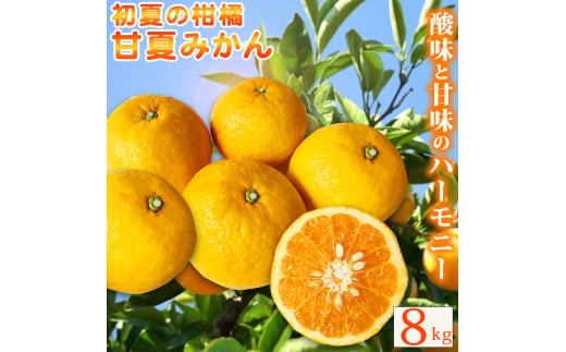 
                  【ご家庭用訳あり】紀州有田産 すっきり爽やか 甘夏みかん 8kg  ※2027年3月中旬頃〜2026年3月下旬頃に順次発送予定 / 甘夏 あまなつ みかん ミカン 蜜柑 温州みかん 柑橘 フルーツ 果物 くだもの 和歌山【uot847】
                