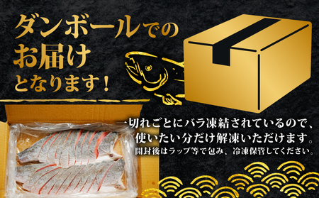 訳あり 紅鮭 1.5kg 鮭
