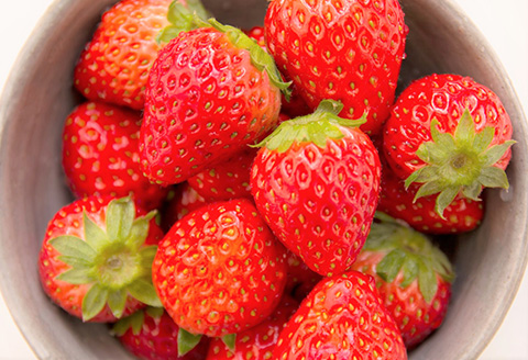 佐賀県唐津市「いちごさん」化粧箱 470g いちご 苺 イチゴ 化粧箱 ギフト