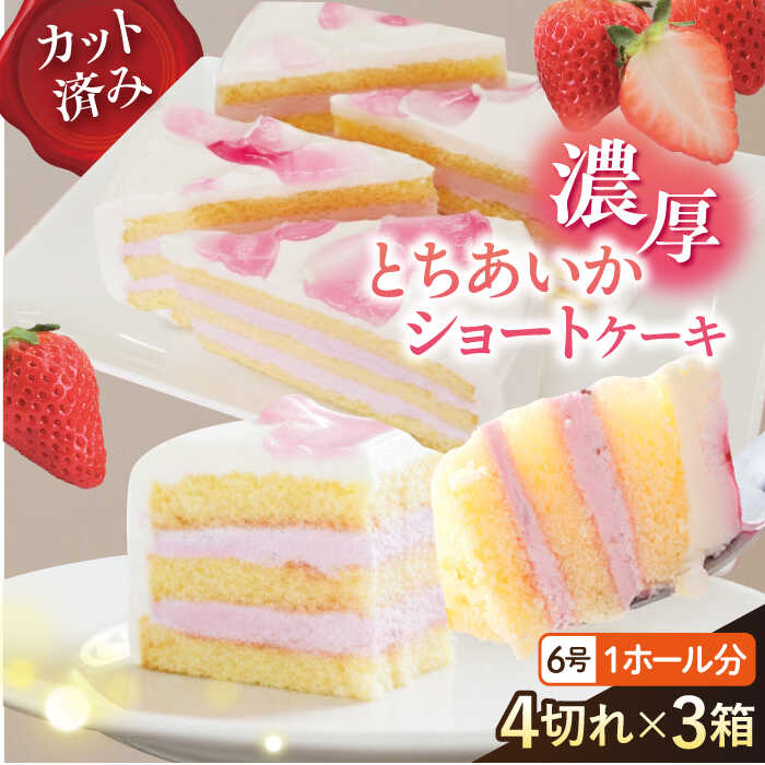 【ふるさと納税】ドルチェケーキ とちあいかショート ケーキ 計12個（4個×3箱）カットケーキ ミニケーキ お菓子 スイーツ 贅沢 洋菓子 ケーキ いちご いちご【ファミール製菓株式会社】[AKCI022]