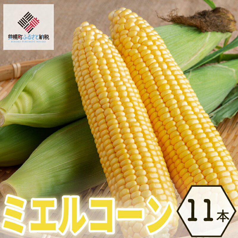 【ふるさと納税】 【先行受付】 2026年産 スウィートコーン! はちみつのような甘さのミエルコーン 11本 とうもろこし コーン 甘い おいしい スイートコーン スウィートコーン 北海道 美幌町【配送不可地域：離島】