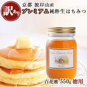 【ふるさと納税】≪訳あり≫ 京都・彼岸山 徳用 天然 はちみつ 百花蜜 550g Honey Woods《純粋 非加熱 国産 完熟 無添加 生はちみつ 家庭用 蜂蜜 健康 ダイエット》