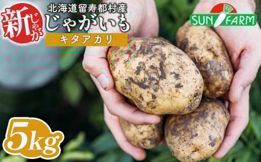 新じゃがいも キタアカリ 5kg いも おいも 芋 イモ ジャガイモ ポテト きたあかり オンライン 申請 ふるさと納税 北海道 留寿都 野菜 根菜 ホクホク 産地直送 新鮮 採れたて ポテトサラダ コロッケ スープ 5キロ 留寿都村【2401201】