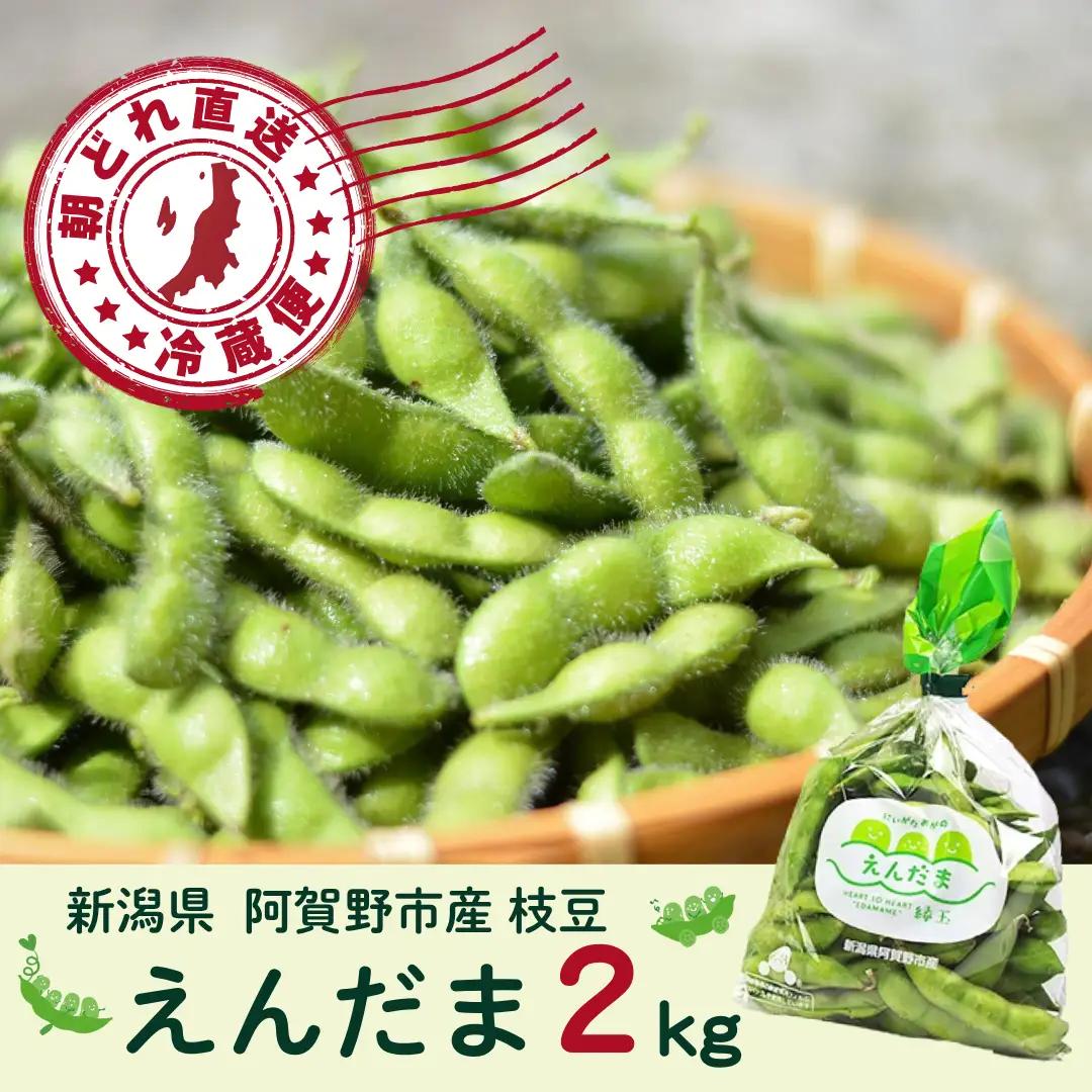 【採れたて直送】 朝採り えだまめ 「えんだま」 2kg (250g×8袋)  新潟県産 阿賀野市産 即冷蔵 新鮮 枝豆 つまみ 期間限定  2P03014