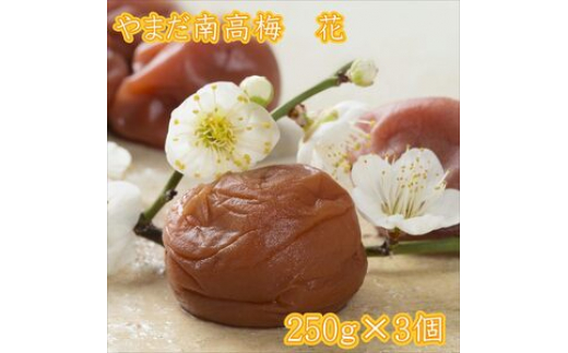 
            やまだ南高梅　花（250ｇ×３個）
          