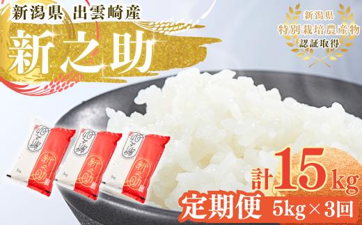 【新米】特別栽培米「新之助」 定期便 5kg 3か月 新潟県産 出雲崎町産 令和6年産 白米 精米 お米  合計15kg