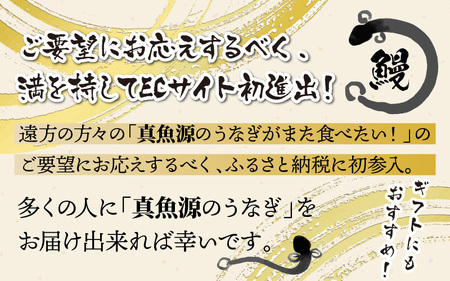 【冷蔵でお届け】 国産 うなぎ 蒲焼 1尾 約 200g タレ 付 [A-087003]