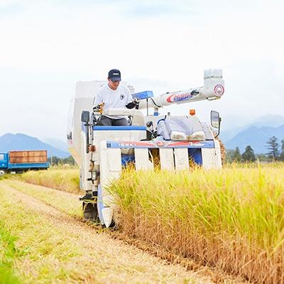ふるさと納税 川西町 令和6年産　山形県産　つや姫　5kg |  | 03
