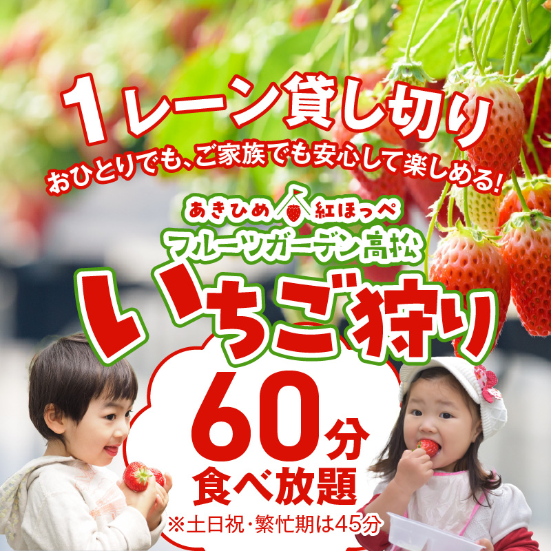 【1レーン貸切・最大60分食べ放題（土日祝・繁忙期は45分）】いちご狩り券 2名様（３歳以上）愛知 体験 チケット くだもの狩り フルーツ狩り H175-007