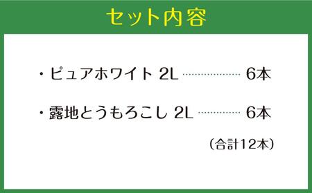 【先行予約】北海道産ピュアホワイト・露地とうもろこし　計12本 2024年8月下旬から発送開始予定