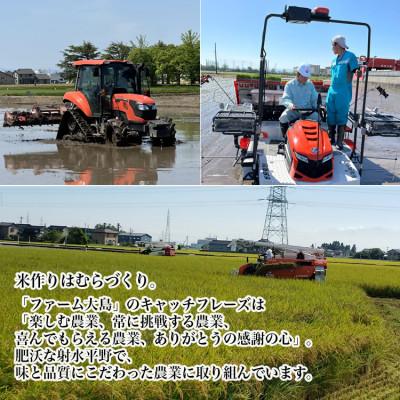 ふるさと納税 射水市 R7年富山県射水市産「富富富」　15kg(5kg×3)【精米】 |  | 01