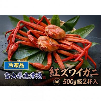 ふるさと納税 魚津市 【冷凍品】 自社漁船直送!魚卸問屋のベニズワイガニ　500g級×2杯