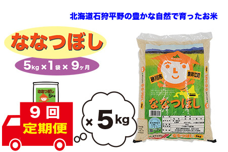 【定期便9回】北海道奈井江町　ななつぼし　5kg