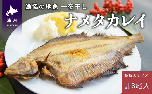 
漁協の地魚一夜干し ナメタカレイ 特特大サイズ(3尾入)[02-1247]
