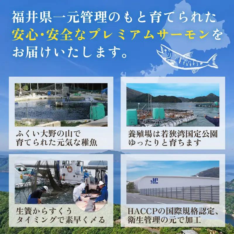 ふくいサーモン 1kg (刺身用) 真空冷凍 100g×10パック【サーモン 鮭 刺身 さけ サケ 小分け お刺身用 生食用 生食可 国産】 [C-6203]