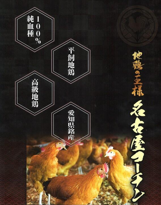 とろ~り名古屋コーチンプリン