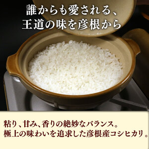 【新米】【無洗米】令和7年 彦根産 米 コシヒカリ 10kg（5kg×2袋）