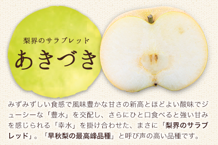 【2026年 先行予約】旬の梨 あきづき 豊水 のいずれかをお届けします！ 荒尾梨 約3kg (4～8玉前後) 熊本県荒尾市産 髙口果樹園《2026年9月上旬-9月下旬頃出荷》フルーツ 果物  美味し