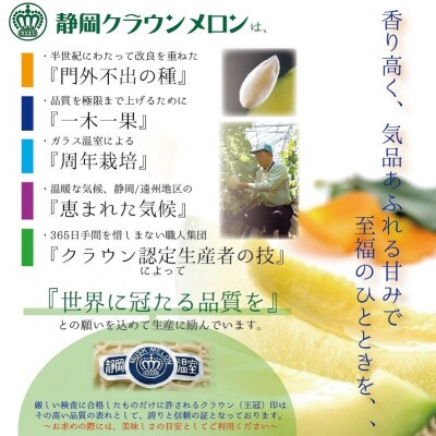 【毎月定期便】クラウンメロン(白等級) 1玉全9回【配送不可地域：離島・北海道・沖縄県】