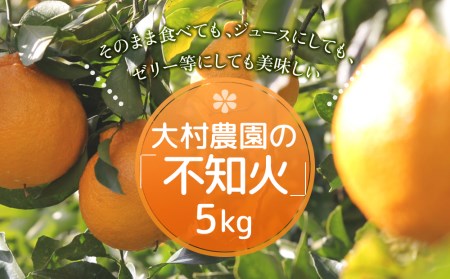 【先行予約】大村農園のみかん 不知火 5kg ミカン 蜜柑 オレンジ 果実 旬のフルーツ 大分県産 九州産 津久見市 国産【tsu003102】