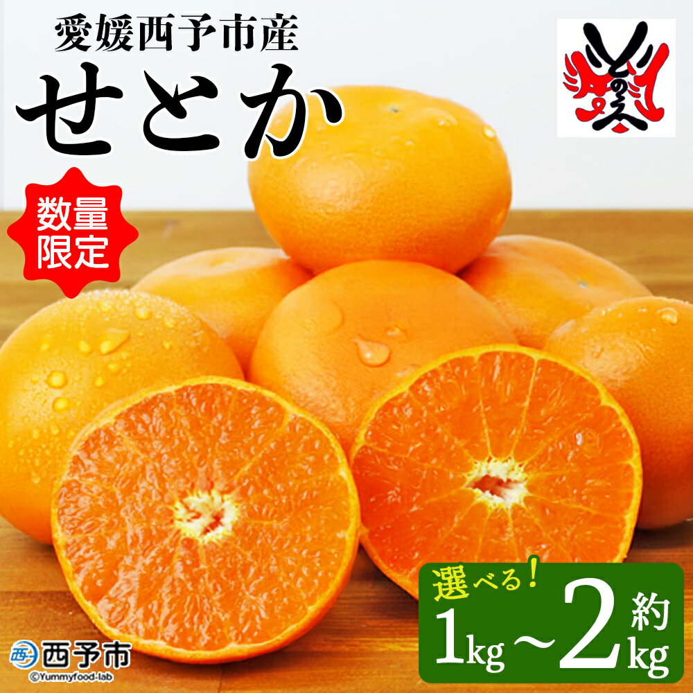 【ふるさと納税】数量限定＜愛媛西予市産 せとか 約1kg／2kg＞ 果物 くだもの フルーツ 柑橘類 ミカン みかん 甘い 特産品 糖度 家庭用 自宅用 産地直送 渡江から一歩を踏み出す会 食べて応援 愛媛県 西予市 【常温】『2026年3月上旬～3月下旬順次発送予定』