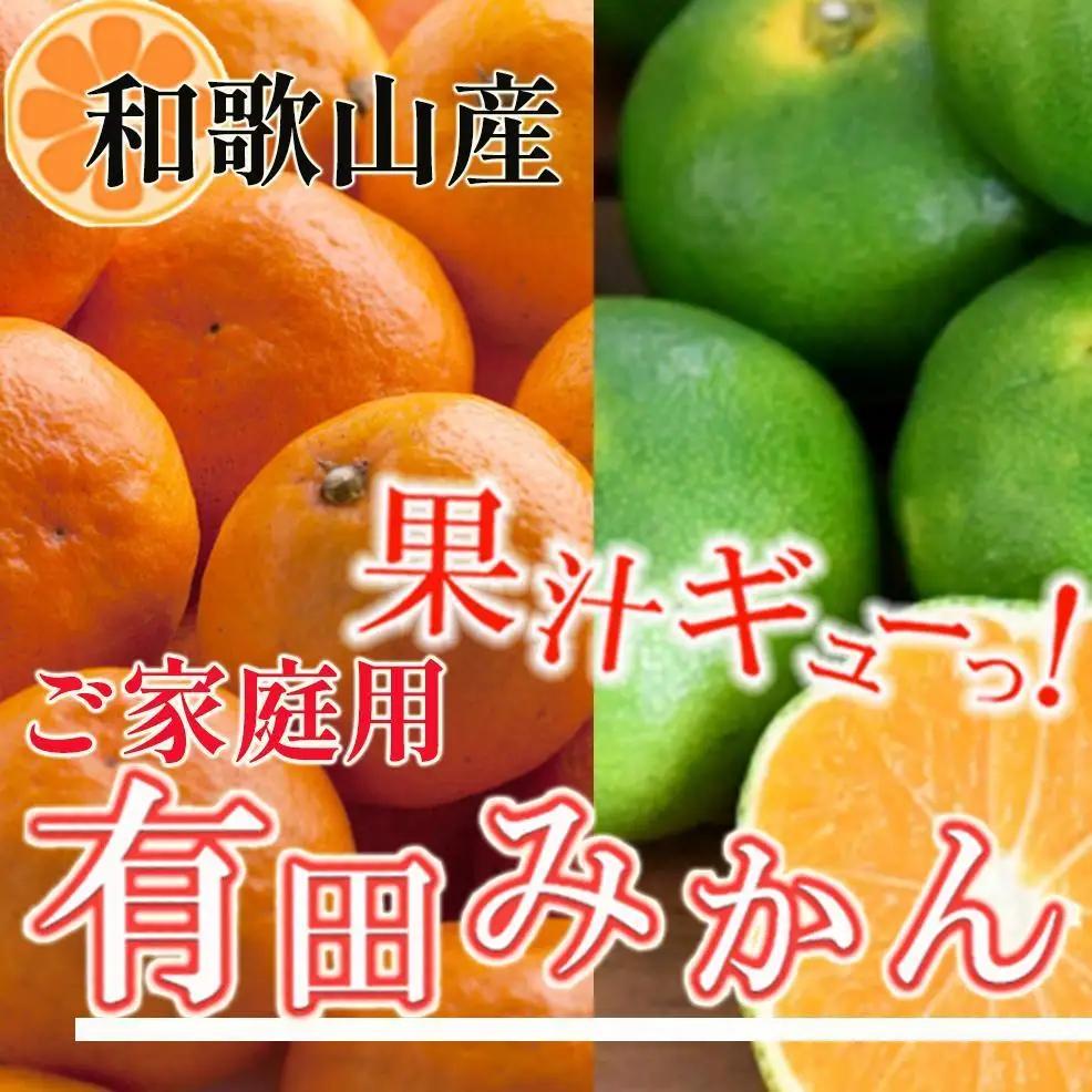 ［先行予約］家庭用 有田みかん10kg+250g（傷み補償分）［2026年10月初旬から2027年1月末日頃順次発送予定］［IKE314］
